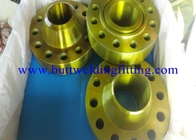 Class150 SO Forged Steel Flanges Cu-Ni 90-10 Copper Nickel Flanges