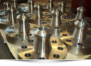 ধাতু উচ্চ মানের কাঠামোগত শক্তিশালী Nipoflange ASME B16.5 ক্লাস 150 300 RF NORSOK EDS NOL1 SCH160 F44 1