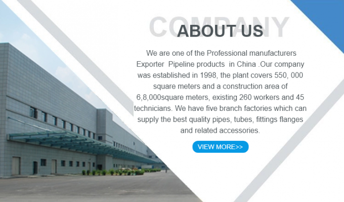 ধাতু উচ্চ মানের 304 স্টেইনলেস স্টীল পাইপ ফিটিং কঠিন বর্গাকার মাথা প্লাগ 1/2/3/4/6 পয়েন্ট NPT1/2 7