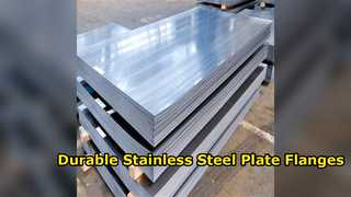 প্রিমিয়াম 6L স্টেইনলেস স্টীল প্লেট Flanges ASME B6