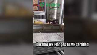 টেকসই WN Flanges ASME স্ট্যান্ডার্ড উচ্চ মানের পাইপ ফিটিং