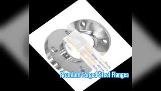 উচ্চ চাপ নকল ইস্পাত ফ্ল্যাঞ্জ ASME প্রত্যয়িত