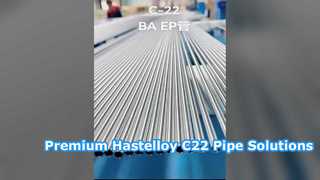 Hastelloy C-22 EP/BA পাইপ