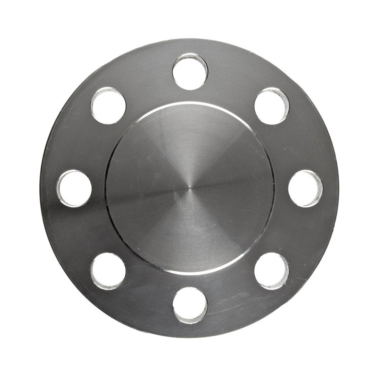 DN15 - DN600 304 316 Forged Stainless Steel BL flange ansi standard