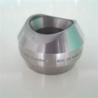Stainless Steel Ss304/316 Pipe Fittings Forged Fittings Socket Weld Sockolet