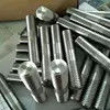 Special Stainless Steel Astm Two Nuts Double End Duplex 32750 2507 F55 S32760 Stud Bolt